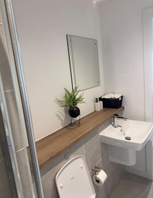 Apartment Your Private Oasis In Manchester