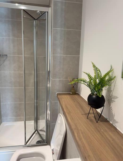 Apartment Your Private Oasis In